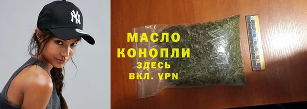дмт Абаза