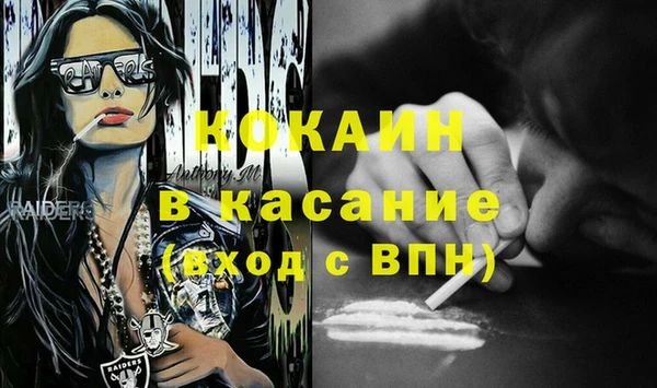 прущие грибы Абинск