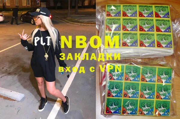 прущие грибы Абинск