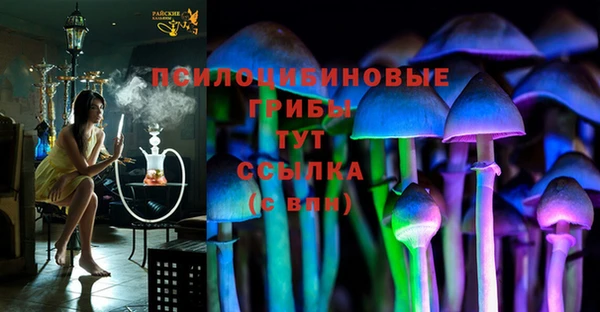 прущие грибы Абинск