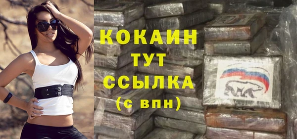 дмт Абаза