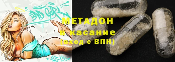 прущие грибы Абинск