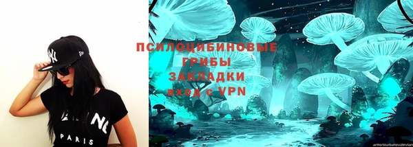 apvp Саяногорск
