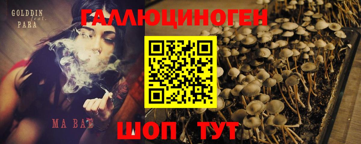 Балахна  Псилоцибиновые грибы мухоморы  Псилоцибиновые грибы прущие грибы  Вход с VPN 